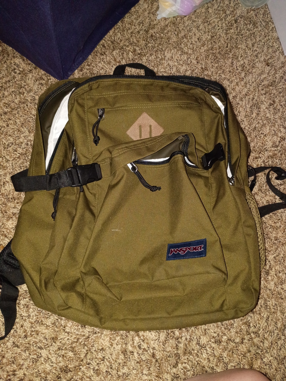 JanSport Olive Green Canvas Backpack for Men